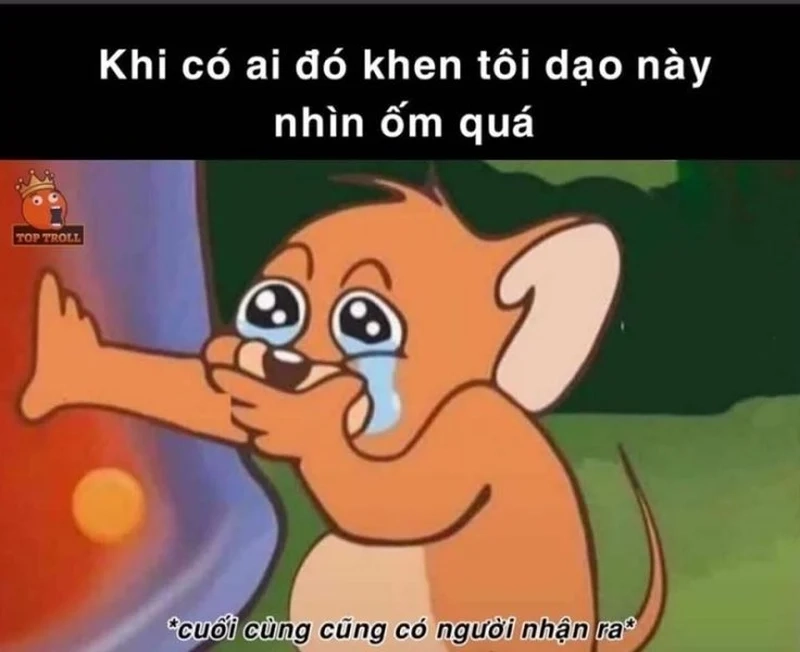 Tạo sự khác biệt với ảnh bìa facebook meme đầy hài hước và sáng tạo.