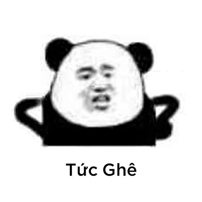 Meme gấu trúc thôi thôi sẽ làm bạn bật cười!