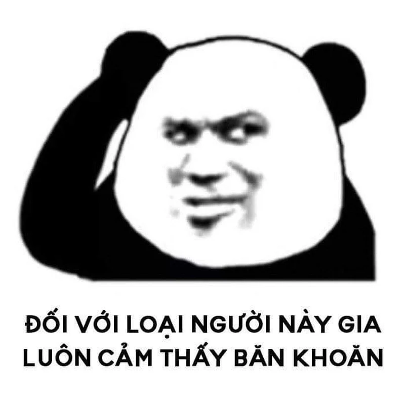 Khám phá meme gấu trúc mắt thâm siêu lầy!