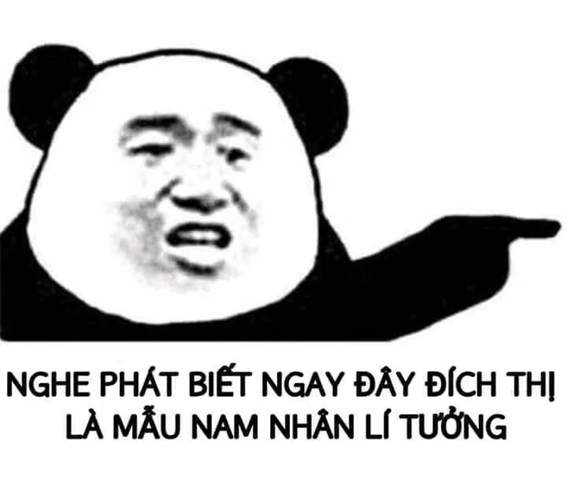 Meme mắt gấu trúc độc đáo, hài khó cưỡng!