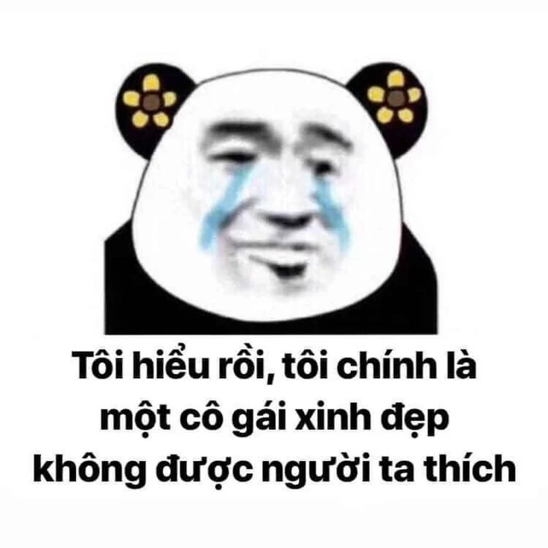 Thêm tiếng cười với meme gấu trúc thâm mắt cực chất!