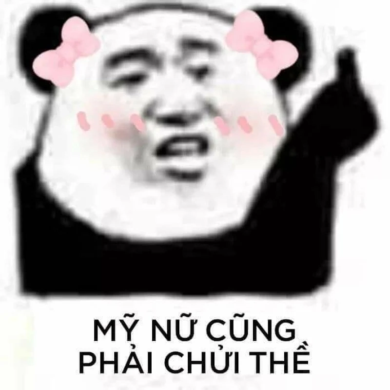 Meme gấu trúc dễ thương là lựa chọn hoàn hảo cho bạn!