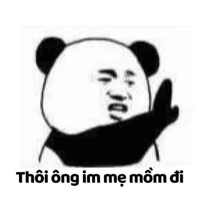 Gấu trúc meme cute làm tan chảy trái tim bạn!