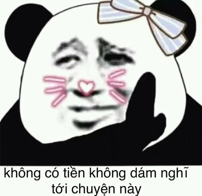 Cười sảng khoái với meme gấu trúc bựa Weibo cực chất!