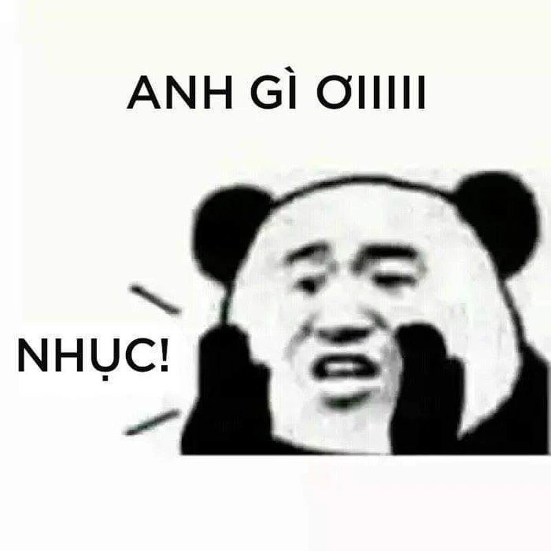 Thả tim với meme gấu trúc xin chào ngộ nghĩnh!