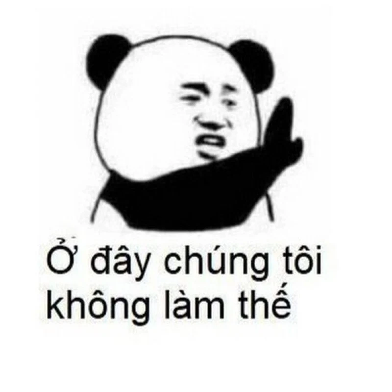 Ảnh hài hước meme gấu trúc sẽ làm ngày bạn tươi sáng hơn!