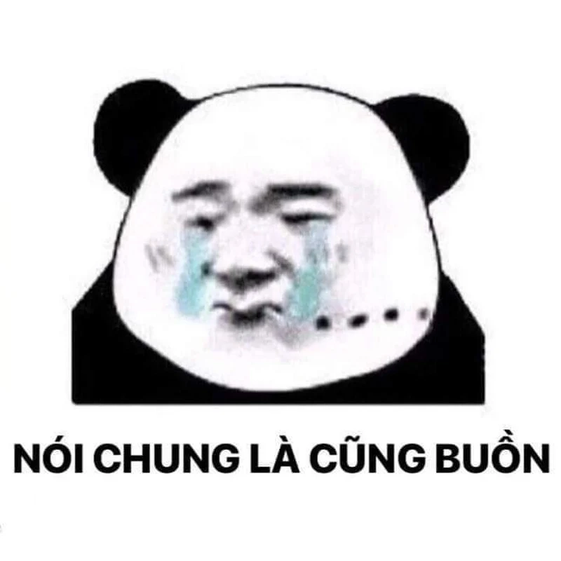 Meme gấu trúc chúc ngủ ngon, mang đến giấc ngủ ngọt ngào!