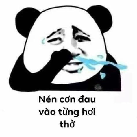 Meme gấu trúc mệt mỏi, chuẩn tâm trạng sau ngày dài!