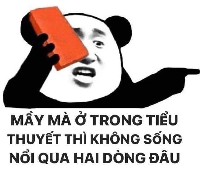 Cười thả ga với meme gấu trúc thức khuya lầy lội!