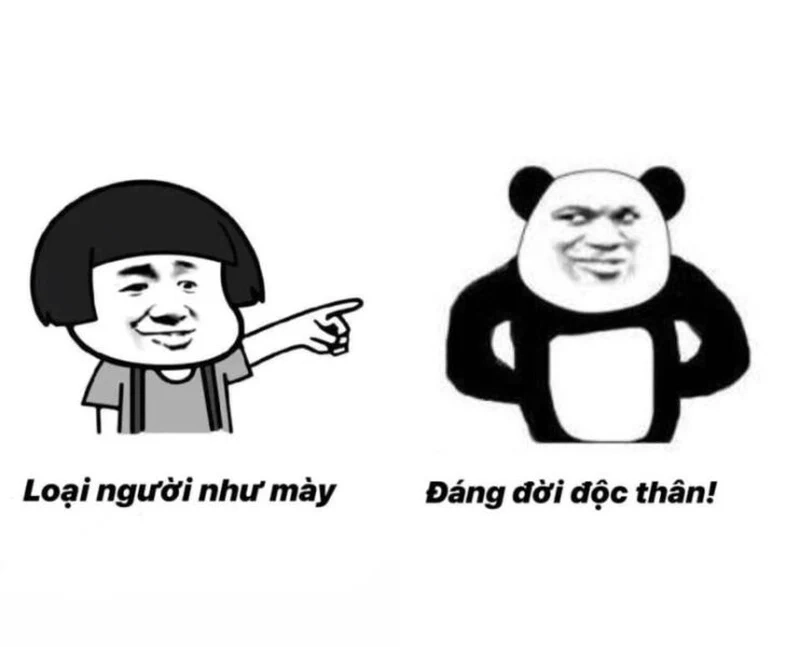 Gấu trúc troll meme kết thúc bài thuyết trình đầy hài hước!