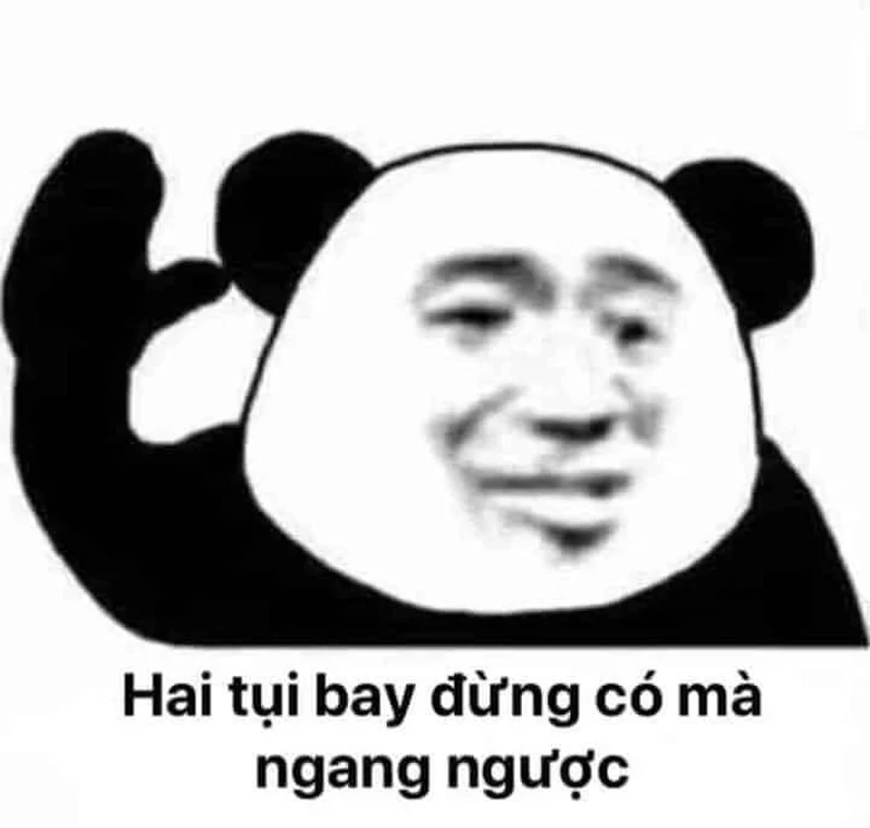 Meme gấu trúc cảm ơn cực dễ thương, gây thích thú!