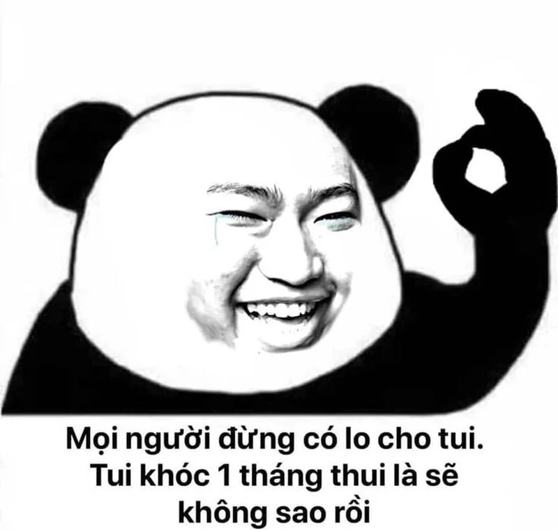 Cảm xúc chân thật với meme gấu trúc ngạc nhiên thú vị!