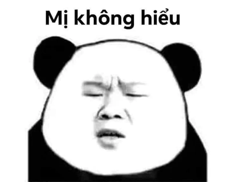 Meme gấu trúc hỏi chấm độc lạ, khiến bạn bật cười!