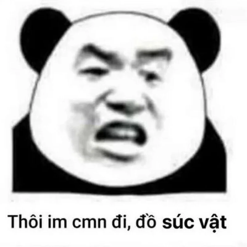 Meme gấu trúc kinh dị đầy bất ngờ, hài không tưởng!