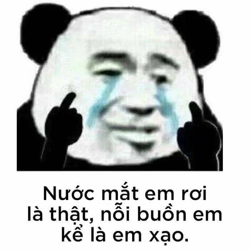 Hài hước không giới hạn với meme gấu trúc đánh cực chất!