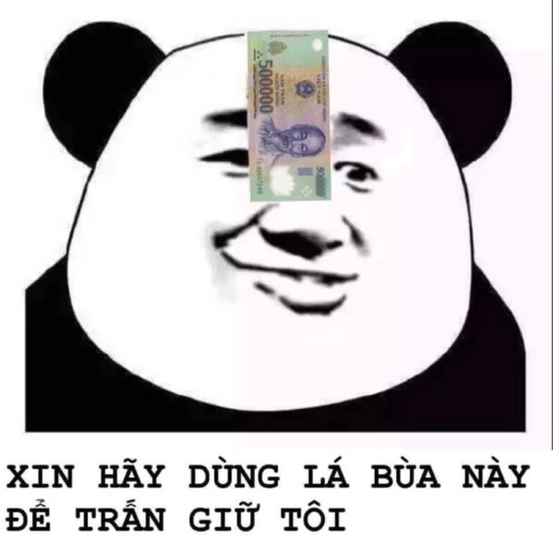 Meme gấu trúc hài hước, mang lại tiếng cười vui vẻ!