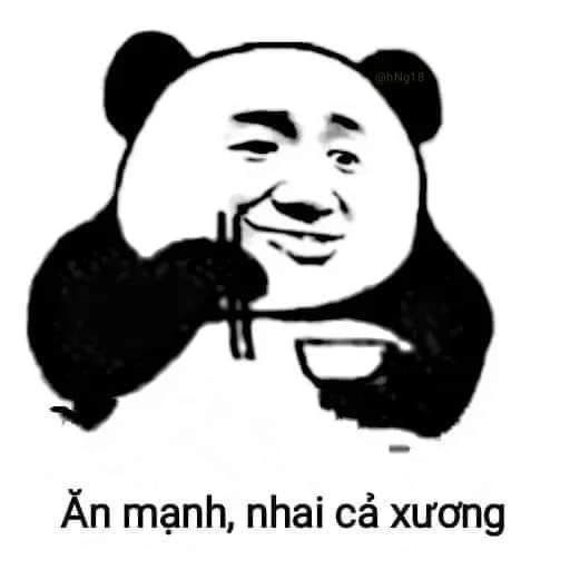 Meme gấu trúc khó hiểu nhưng lại siêu lầy lội!