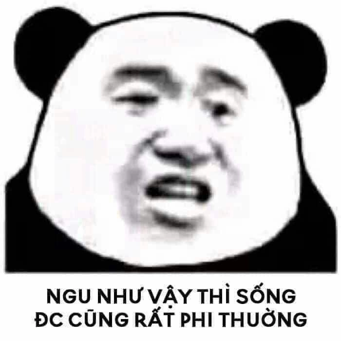 Meme gấu trúc đa tạ độc đáo, khiến bạn cười thích thú!