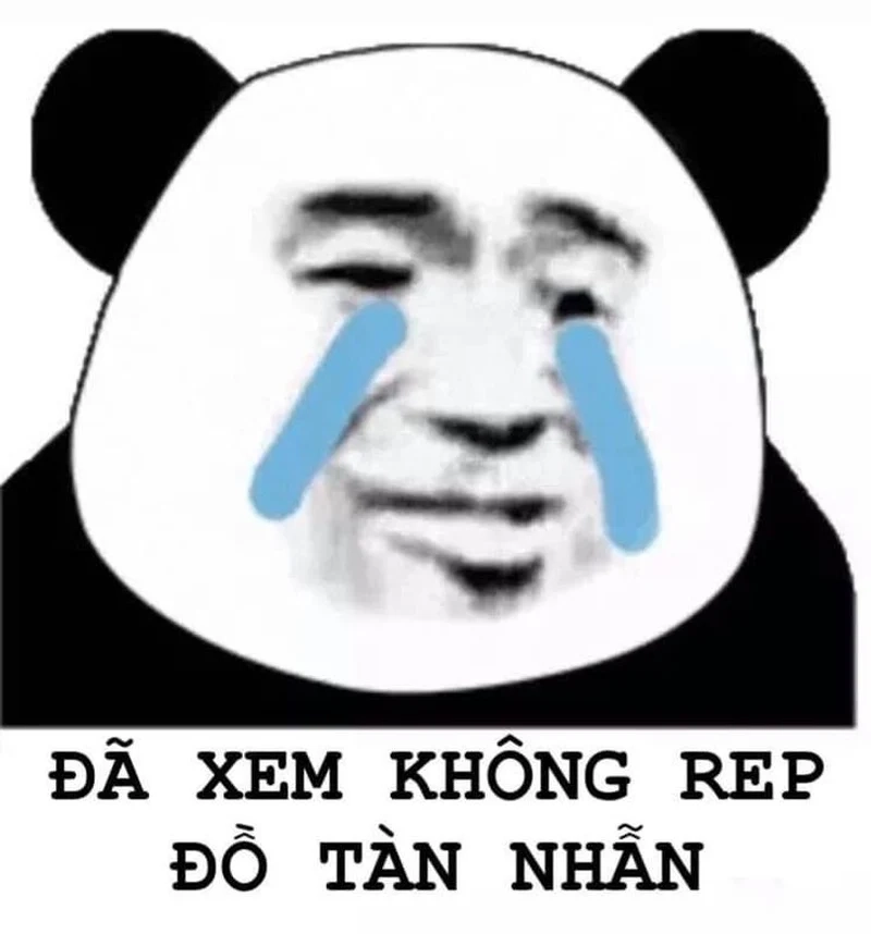 Bựa mà duyên, cùng thưởng thức meme gấu trúc!