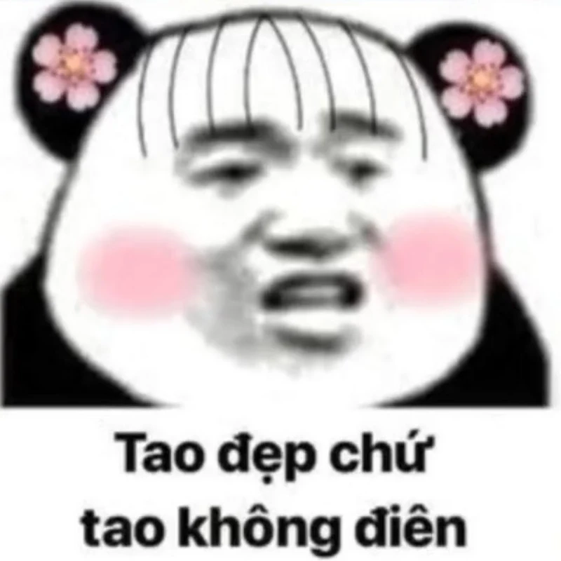 Meme hài bựa chó làm nổi bật nét tinh nghịch và vui nhộn.