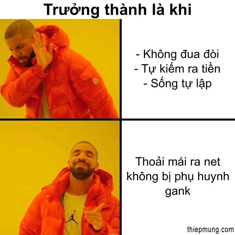 Chó meme hài lan tỏa năng lượng tích cực qua những khoảnh khắc vui vẻ.