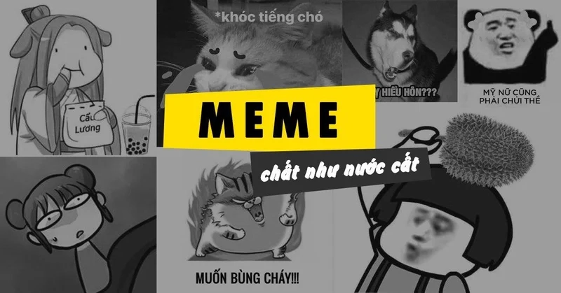 Hài hước cute ảnh người que meme làm nổi bật sự dễ thương khó cưỡng.