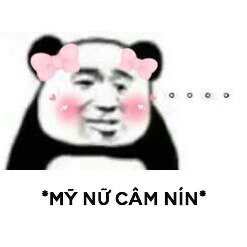 Meme hài cute là lựa chọn hoàn hảo để tạo niềm vui cho mọi người.