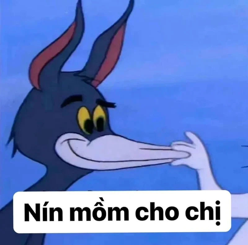 Meme bựa ảnh mèo hài hước mang lại tiếng cười sảng khoái.