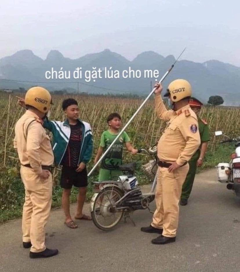 Cười nhếch mép ảnh chế meme mèo bựa chắc chắn khiến bạn thích thú.