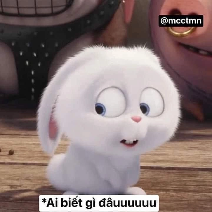 Ảnh meme siêu bựa này khiến bạn phải ngạc nhiên và cười to.