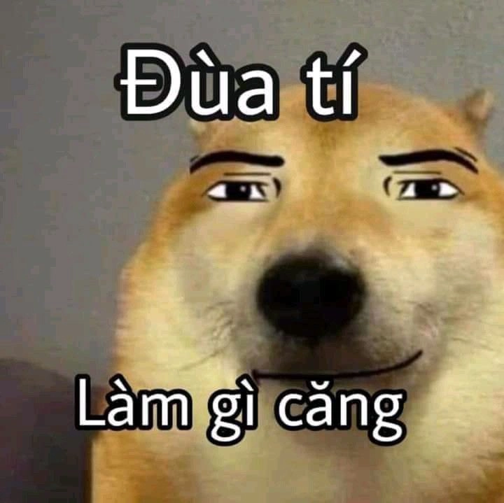 Ảnh meme cực bựa này làm bạn phải cười nghiêng ngả.