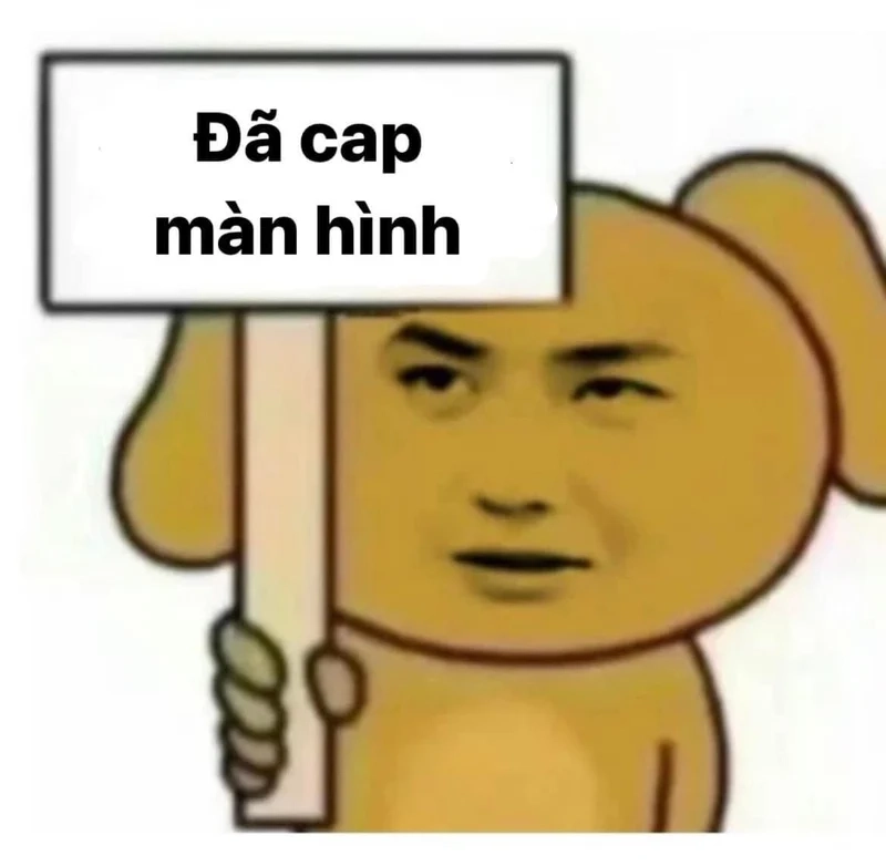 Cầm dao meme mèo bựa siêu hài và bất ngờ!