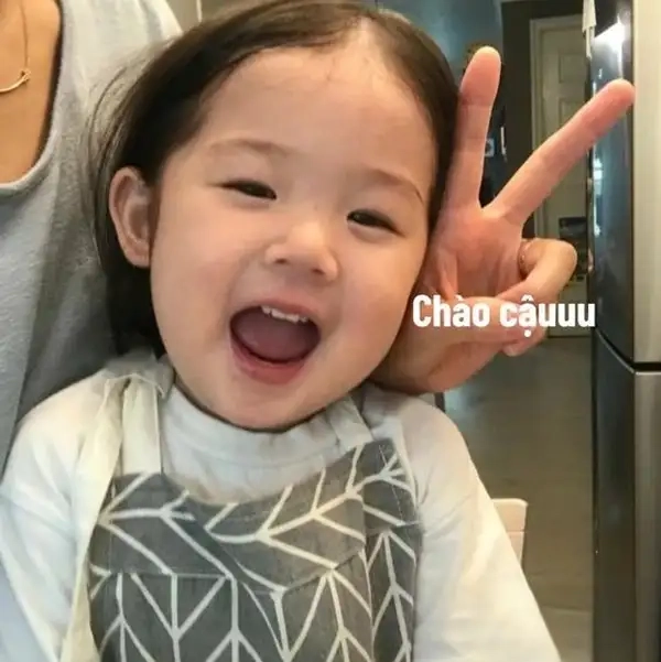 Chào ngày mới meme là lựa chọn hoàn hảo để bắt đầu một ngày mới tràn đầy niềm vui.