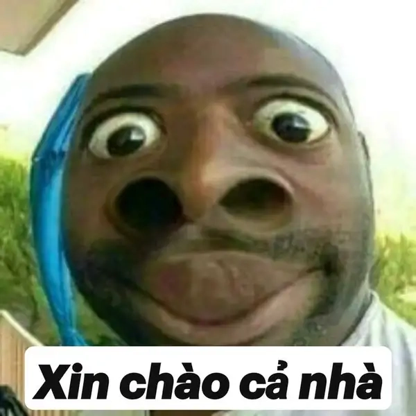 Hình meme xin chào là cách tuyệt vời để bắt đầu một ngày mới đầy năng lượng.