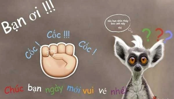 Khởi đầu ngày mới với chào em nha meme, đầy dễ thương và vui nhộn.