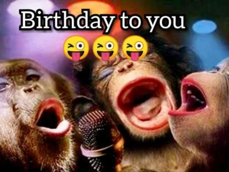 Chúc bạn bè sinh nhật vui vẻ với meme happy birthday friend thú vị.