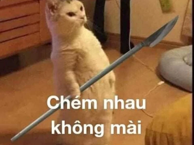 Meme đánh đi vui nhộn, gây cười với những tình huống hài hước không thể bỏ qua.