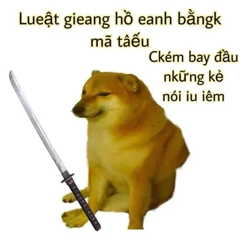 Meme mèo đánh bài tết cực đáng yêu, là bạn đồng hành mùa lễ hội.