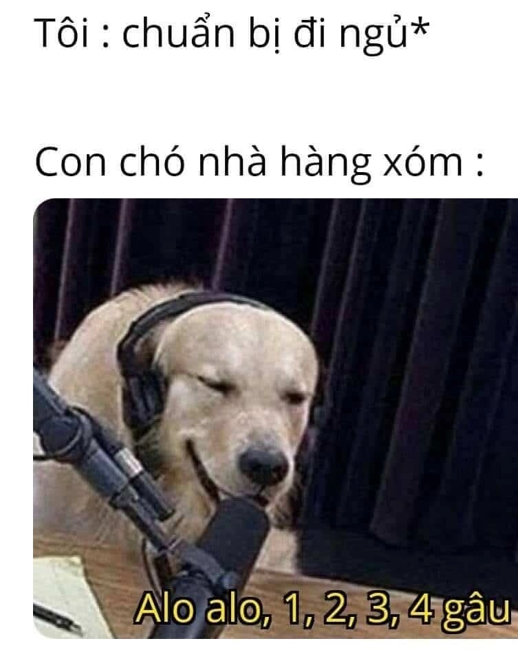 Meme ngủ đi sẽ giúp bạn cảm thấy thư giãn, sẵn sàng cho giấc ngủ ngon.