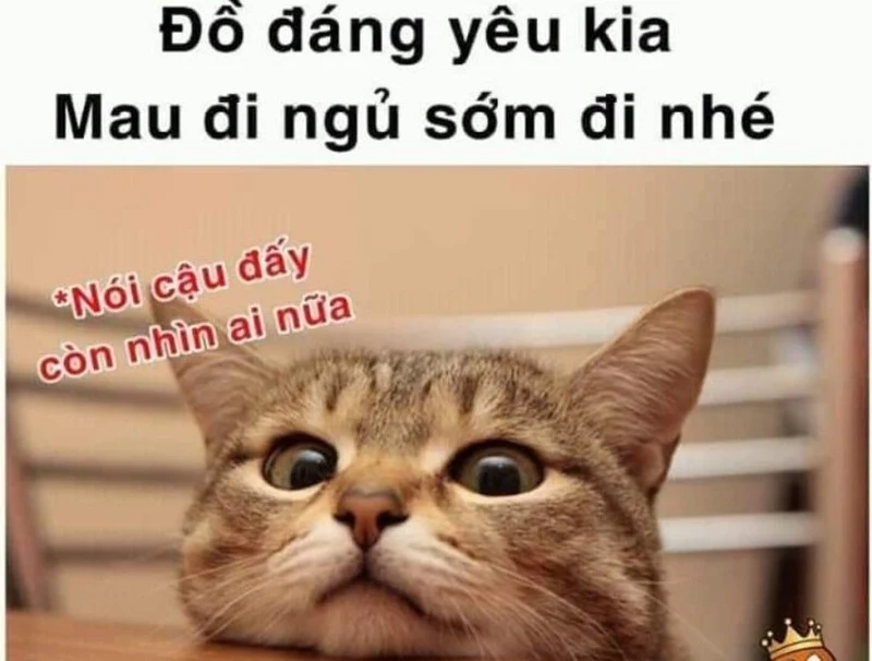 Những buồn ngủ meme sẽ giúp bạn cảm nhận sự mệt mỏi và muốn đi ngủ ngay.