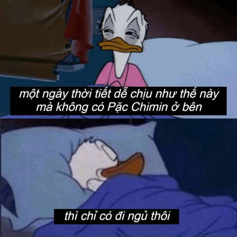 Chúc bé ngủ ngon meme mang đến sự dễ thương, giúp bé chìm vào giấc ngủ.