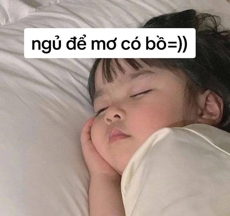 Ảnh meme ngủ dễ thương giúp bạn thư giãn và sẵn sàng cho giấc ngủ.