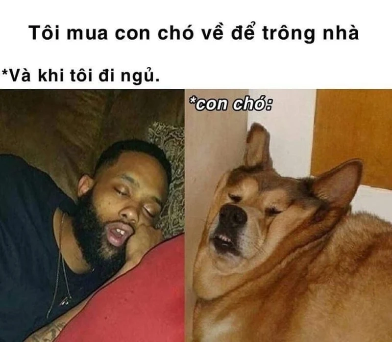 Những meme ngủ ngon cute mang lại sự dễ thương, dễ dàng đi vào giấc mơ.