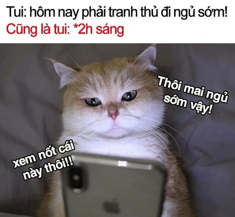 Meme tắt máy đi ngủ là khoảnh khắc buồn cười khi chuẩn bị vào giấc ngủ.