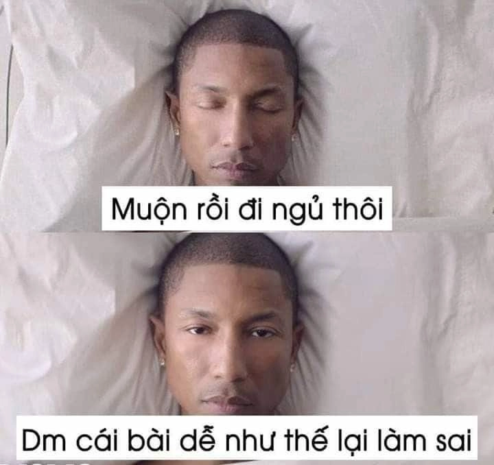 Meme chúc ngủ ngon cute cho bạn những phút giây thư giãn trước khi ngủ.