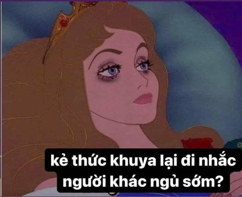 Meme cay cú không ngủ được sẽ giúp bạn thư giãn sau một đêm thức trắng.