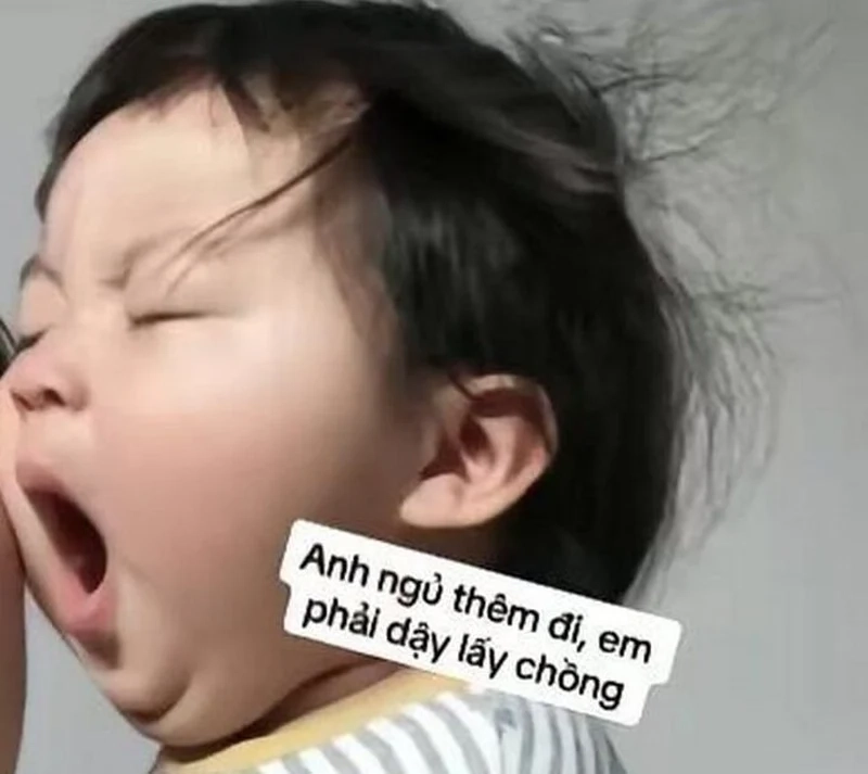 Meme mèo ngủ ngon giúp bạn cảm thấy nhẹ nhàng và dễ chịu trước khi ngủ.