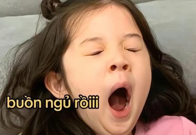 Khám phá ảnh chúc ngủ ngon meme để có những phút giây thư giãn đáng yêu.