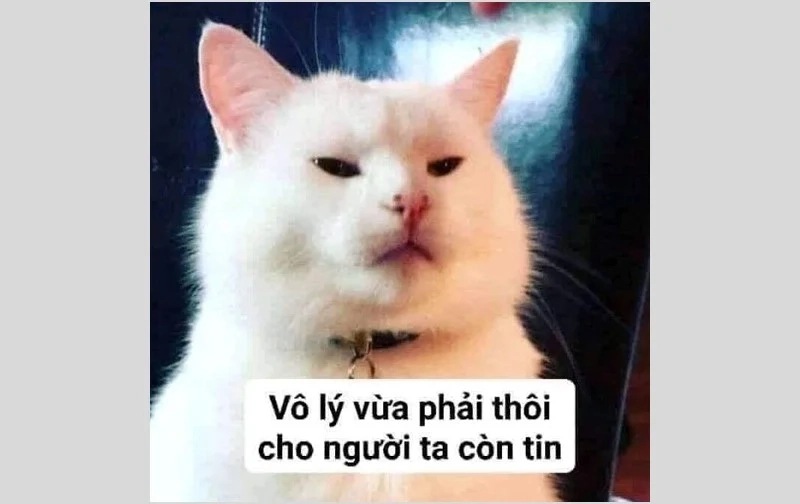 Em bé dỗi trong meme này sẽ làm bạn phải mỉm cười ngay lập tức.