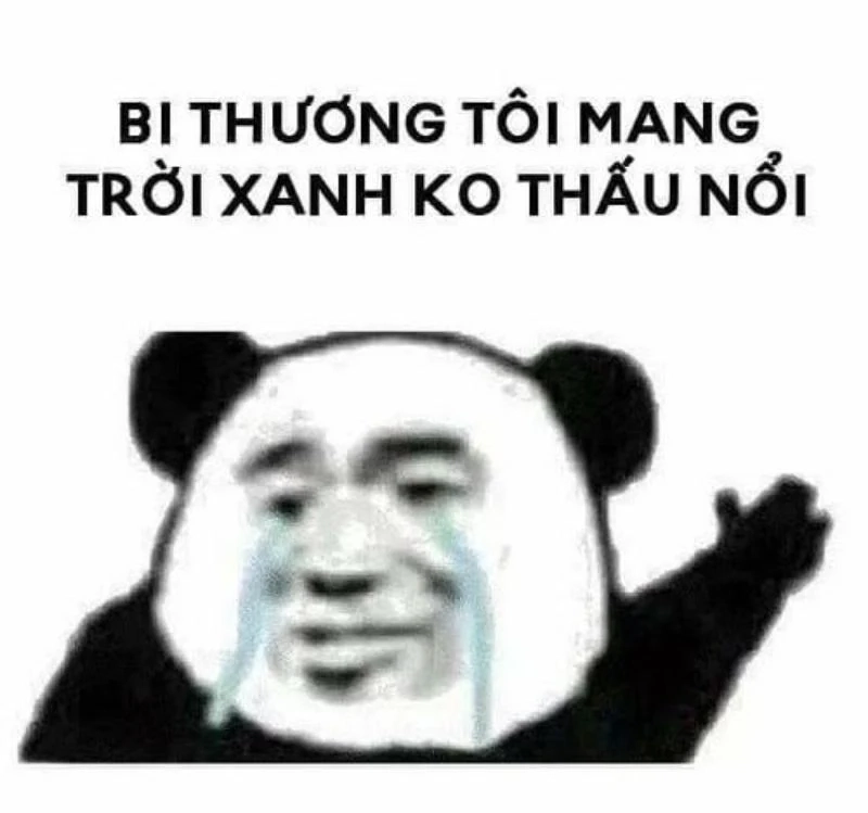 Giận meme này cực kỳ dễ thương, sẽ khiến bạn không thể ngừng cười.